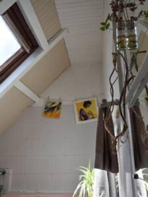Le Strelitzia 1 Apartment Cilaos Exterior photo